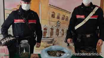 Arrestati i picchiatori del 18enne di Cagli - il Resto del Carlino