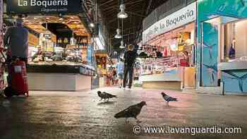 Una malla evitará que las palomas defequen en la Boqueria - La Vanguardia