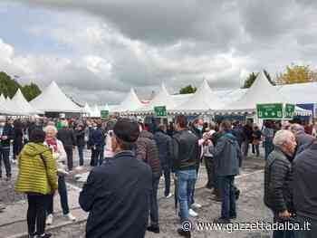 Banca d'Alba: più di 13mila soci in assemblea - http://gazzettadalba.it/