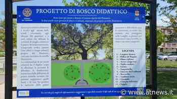 Rotary Club Alba e Comune di Alba presentano il progetto per la realizzazione di un bosco didattico - ATNews