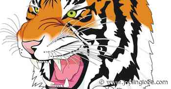 Carthage falls to Aurora, Lebanon | Local Sports | joplinglobe.com - Joplin Globe