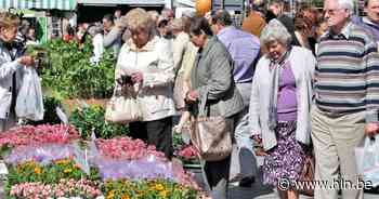 Bloemenmarkt fleurt marktplein op | Stekene | hln.be - Het Laatste Nieuws