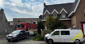 Recherche ontmantelt cannabisplantage met meer dan 600 plantjes | Lede | hln.be - Het Laatste Nieuws