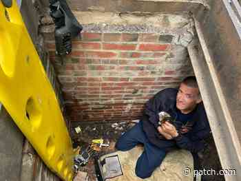 Baltimore Firefighter Rescues Kitten Stuck In Storm Drain - Patch