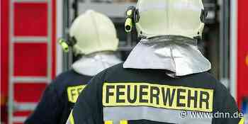 Schlange auf Terrasse in Dresden-Prohlis gefunden - Dresdner Neueste Nachrichten