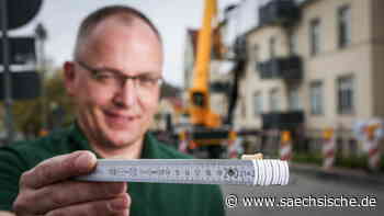 Dresden: Schädling vertreibt mehrere Mieter in Dresden: "Sie bleiben mehrere Jahre im Holz" - Sächsische.de