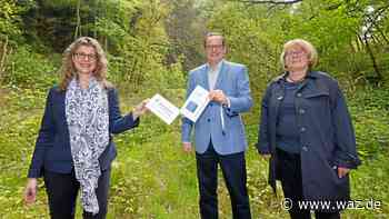 Tierschutz statt Klettersport: Stadt Essen kauft Steinbruch - WAZ News