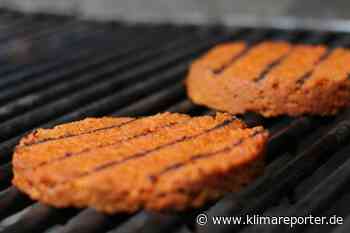 Bäume essen ist out – klimareporter° - klimareporter°