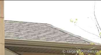 Fate of Calgary's hail damage repair rebate to be decided by city council - CTV News Calgary