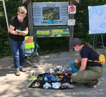 Volunteer project to clean the Bruce Trail is growing - Wiarton Echo