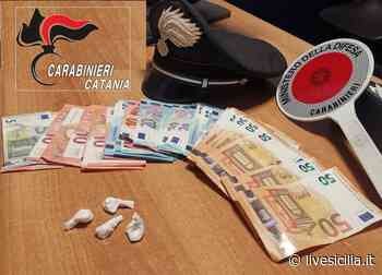 Catania, cocaina e bomba carta: denunciato pusher 22enne - Livesicilia.it