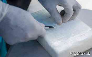 Catania, sorpreso con 380 grammi di cocaina. Arrestato 21enne - Sky Tg24