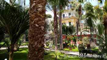 L’Università di Catania ospita tirocini di inclusione sociale - CataniaToday