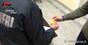 Reddito cittadinanza,389 'furbetti' denunciati dai Carabinieri di Catania - Agenzia ANSA