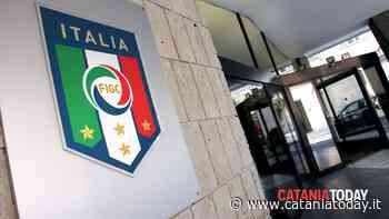 Calcio Catania, attesa per conoscere il futuro: consiglio federale Figc a maggio - CataniaToday