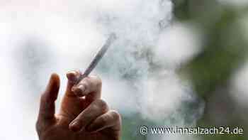 Marihuanageruch und positiver Drogentest: Autofahrer (47) bei Verkehrskontrolle ertappt