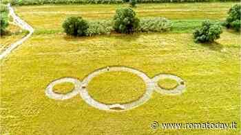 Il salotto "Mama.Seeds": antichi semi, colture e culture italiane e del mediterraneo