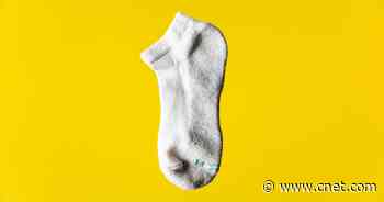 How Do We Lose So Many Single Socks? 6 Strategies to Prevent Orphan Socks     - CNET