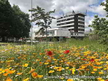 Burnley to get 'flower power' makeover
