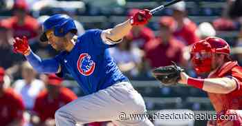 Chicago Cubs Minor League Kevin Alcantara Pete Crow-Armstrong - Bleed Cubbie Blue