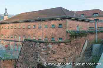 Heidelberg will Land bei "Faulem Pelz" ein Jahr warten lassen - Heidelberg - Nachrichten und Informationen - Mannheimer Morgen