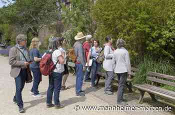Besondere Führung: So grün ist die Heidelberger Innenstadt - Heidelberg - Nachrichten und Informationen - Mannheimer Morgen