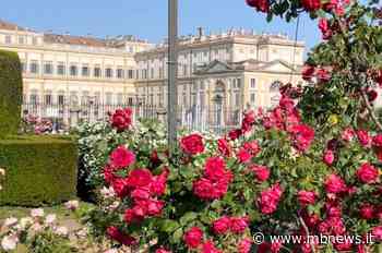 Monza, riprendono le visite al Roseto Niso Fumagalli: ecco il calendario - MBNews