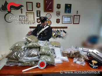 I carabinieri di Monza smantellano fabbrica della droga - Il Cittadino di Monza e Brianza