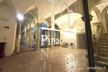 Torna a Siena la ''Notte dei Musei'', visite gratuite ed eventi teatrali in notturna - SienaFree.it