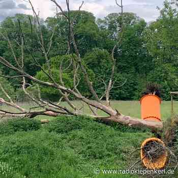 SENDEN: Ausstellung im Bürgerpark - Radio Kiepenkerl
