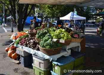 More inclusivity at Wednesday Market could create larger event - The Nelson Daily