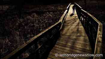 Blue marshlands store as much carbon as green forests, says study - Lethbridge News Now