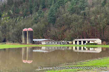 Chilliwack-Kent MLA ‘so grateful’ for B.C.’s streamlined flood aid - Agassiz Harrison Observer