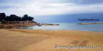 Trani: percettori del Reddito di Cittadinanza ripuliranno le spiagge dai rifiuti per 6 mesi e 18 ore settimanali - - Puglia Reporter Notizie