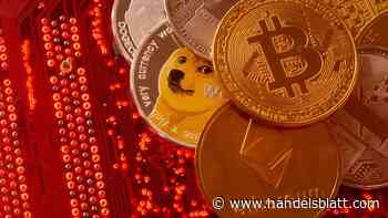 Doge-Kurs aktuell: Dogecoin (DOGE) notiert bei 0,11 US-Dollar