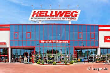 Bau- und Gartenmärkte auf Servicequalität getestet | TASPO.de - TASPO