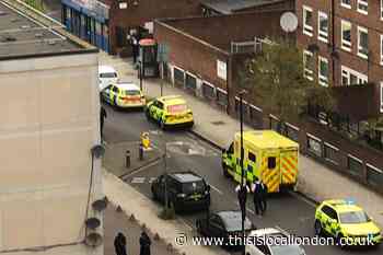 Two stabbed by Stockwell housemate ‘paranoid’ over Covid risk, court told