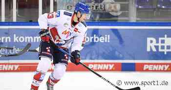 DEL: Nationalspieler Stefan Loibl zurück in Mannheim - SPORT1