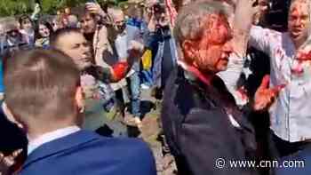 Russian Ambassador doused with red paint at Soviet cemetery