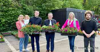 Brugse bebloemingsactie: 102.000 bloemen voor 206 buurtcomités | Brugge | hln.be - Het Laatste Nieuws