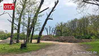 Jenas Stadionbaustelle zwingt Südbadgäste zum Duathlon