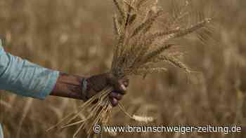 Foodwatch: Schranken gegen Finanzwetten bei Agrarprodukten