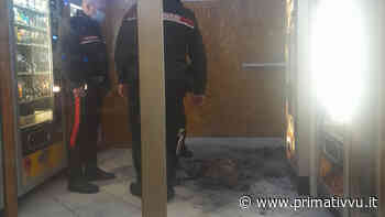 Atripalda, fiamme nel distributore automatico: gli operatori del 118 domano il fuoco con gli estintori - Prima Tivvù