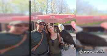 Weißkopfseeadler „Barack“ von Zoofalknerei Neunkirchen wohlbehalten zurückgekehrt - SOL.DE - Saarland Online