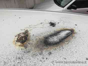 Fumogeno gettato su auto a Gpl, rischi e danni in via Asia - Termoli Online