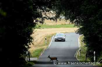 Reh auf der Straße: Coburger kann nicht mehr bremsen - Fränkischer Tag