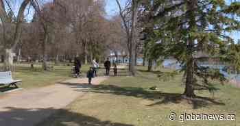 Avian flu spread on the rise in Saskatchewan: ‘It’s very contagious for all birds’