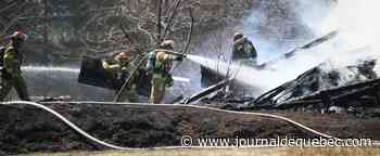 [PHOTOS] Incendie dans un boisé à Québec
