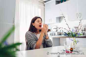 Warning to hayfever sufferers as medication in short supply - Ealing Times