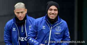 Allan makes Richarlison claim after 'peace of mind' Everton admission - Liverpool Echo